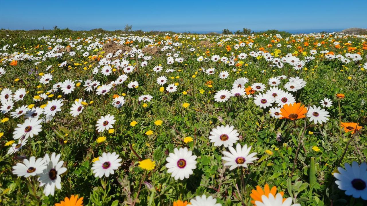 Allesvergeten In Langebaan Country Estate Екстер'єр фото